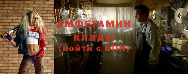 амф Арсеньев