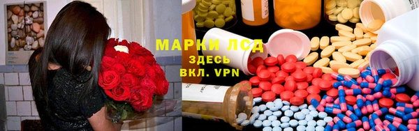 шишки Аркадак