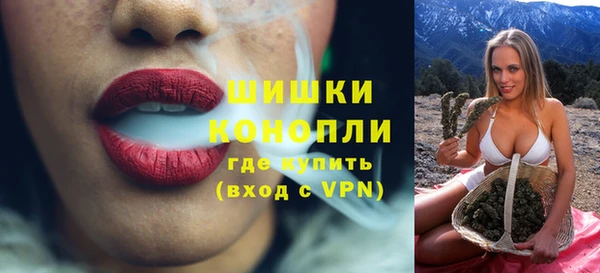 шишки Аркадак