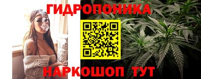 молекула духа Донской