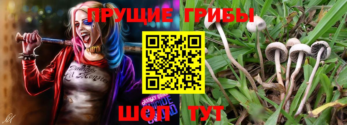 Лянтор  Галлюциногенные грибы Magic Shrooms  Галлюциногенные грибы мицелий  Вход с VPN 